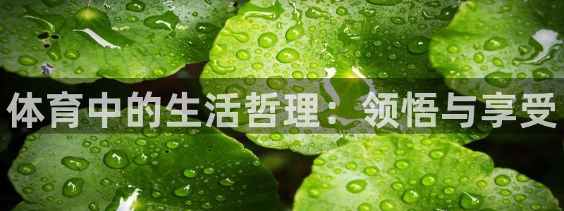 菲律宾ug环球官网：体育中的生活哲理：领悟与享受