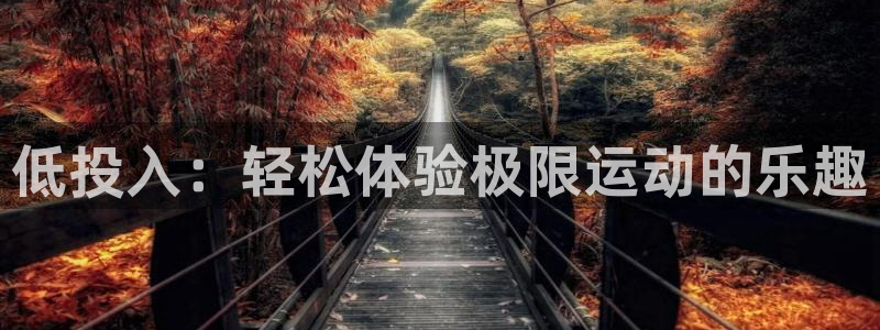 ug环球官网登录入口：低投入：轻松体验极限运动的乐趣