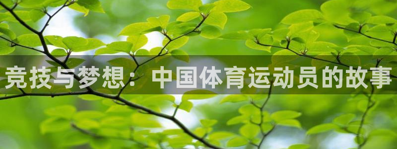ug环球官网登录入口：竞技与梦想：中国体育运动员的故事