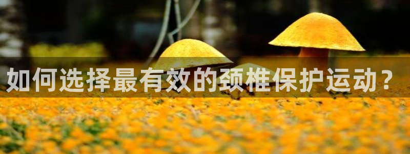 ug环球官网登录入口：如何选择最有效的颈椎保护运动？