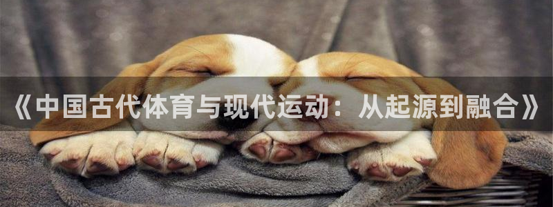 ug环球官网登录入口：《中国古代体育与现代运动：从起源到融合》