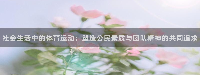 ug环球官网注册：社会生活中的体育运动：塑造公民素质与团队精神的共同追求