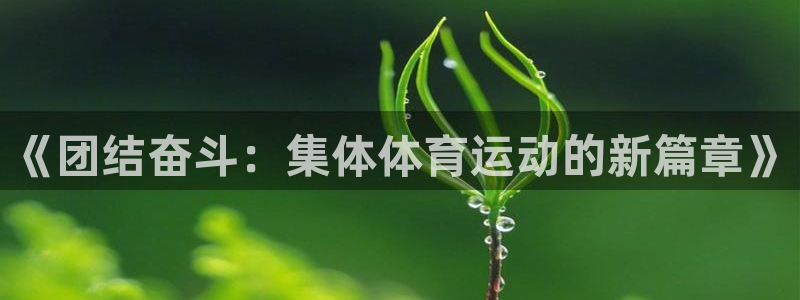 ug环球官网：《团结奋斗：集体体育运动的新篇章》