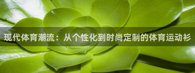 ug环球官网：现代体育潮流：从个性化到时尚定制的体育运动衫