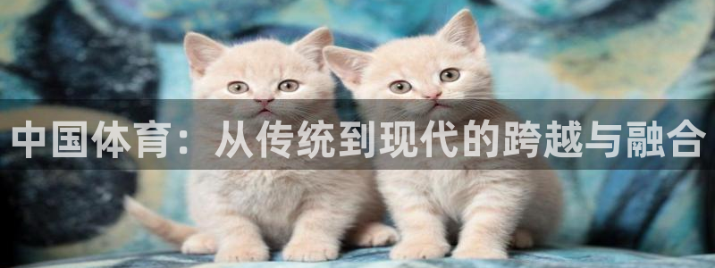 菲律宾ug环球官网：中国体育：从传统到现代的跨越与融合