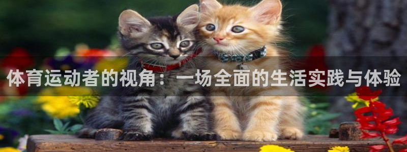 ug环球官网：体育运动者的视角：一场全面的生活实践与体验
