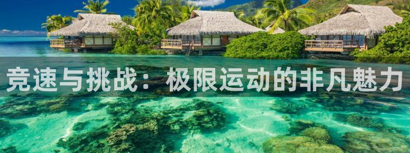 ug环球官网：竞速与挑战：极限运动的非凡魅力