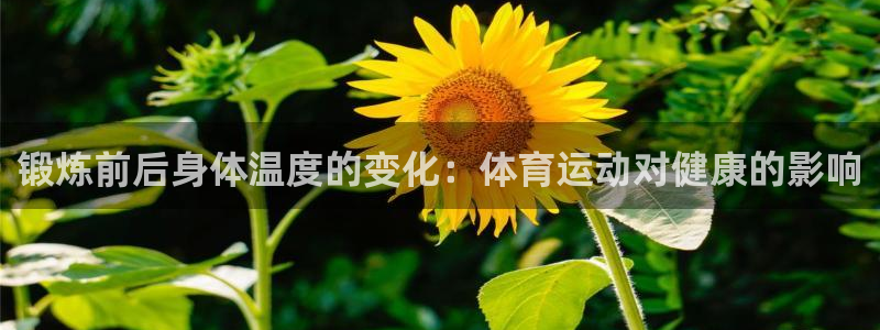 ug环球官网注册：锻炼前后身体温度的变化：体育运动对健康的影响
