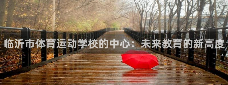 菲律宾ug环球官网：临沂市体育运动学校的中心：未来教育的新高度