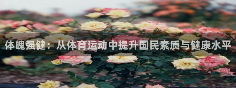 ug环球官网注册：体魄强健：从体育运动中提升国民素质与健康水平